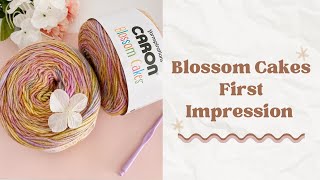 Caron Blossom Cakes Yarn First Impression [upl. by Earezed]