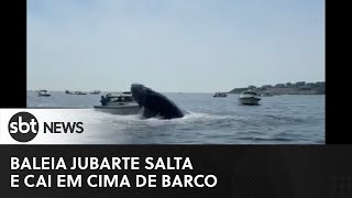 Baleia jubarte salta e cai em cima de barco nos EUA [upl. by Orabel516]