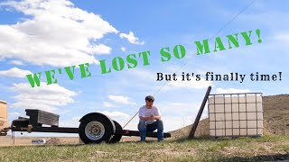 Its finally TIME share viral like homesteading house build quonset diy [upl. by Ribaudo]