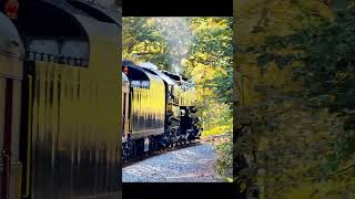 Iron Horse Fall Foliage Ramble Passenger POV Reading amp Northern T1 2102 steamengine steamtrain [upl. by Shaylyn16]