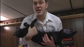 AVGN Outtake Collection [upl. by Ebaj58]