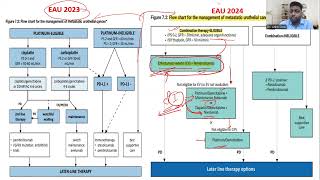 Metastatic Bladder Cancer  EAU 2024 guidelines Update  Dr Ankit Goel FRCS Urology [upl. by Nnylaf573]