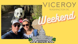 Weekend in Washington DC  VLOG  Viceroy Hotel amp National Zoo [upl. by Alton]