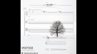 Peter Wilson String Trio from Vestige score video [upl. by Navad]