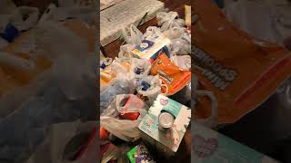 Food stamp Haul [upl. by Adilem752]