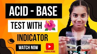 Acid  Base Test with Hibiscus Indicator  Acids amp Bases Natural Test Using Hibiscus🌺 Flower shorts [upl. by Vtarj]