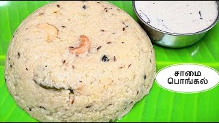 Saamai Pongal சாமை பொங்கல்  Samai Pongal Recipe In Tamil  Millet Pongal  SMT42 [upl. by Etselec]