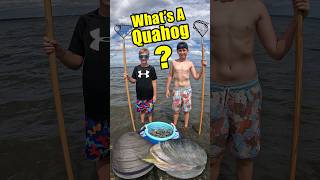 How do you find and catch Quahog Clams Digging for Seafood [upl. by Annawoj81]