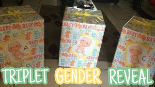 Triplets Gender Reveal [upl. by Nirej]