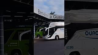 VIAÇÃO UMUARAMA E EMPRESA OURO E PRATA automobile onibus [upl. by Dnalwor]