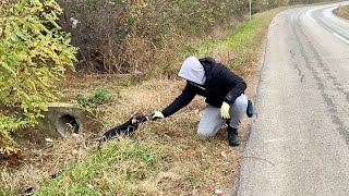 Abandoned Dog Without Hope Gets New Life [upl. by Klemens]