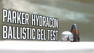 How effective are Parker HYDRACON Muzzleloader Bullets  100yard Ballistic Gel Test [upl. by Thurmond]