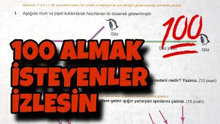 5Sınıf Fen Bilimleri 2Dönem 2Yazılı [upl. by Llehcnom334]