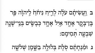 Rosh Hashanah Day 1 First Torah Maftir Verse 2  Learn Biblical Hebrew [upl. by Aidni187]