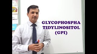 Glycophosphatidylinositol GPI  A Quick Review [upl. by Eiboj]