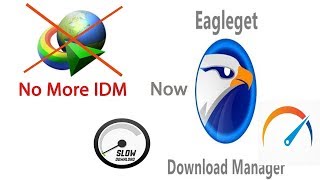 How to Download and Install Eagleget Download Manager for Windows  Eagleget Download Manager [upl. by Akcira965]