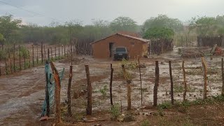 CHUVA NO SERTÃO NORDESTINO VERDEJANTE PÉ [upl. by Ybba]