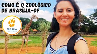 Como é o zoológico de Brasília  Valor da entrada e o que pode levar [upl. by Yme]