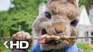 Rabbits vs Electric Fence Scene  Peter Rabbit 2018 [upl. by Htebilil]