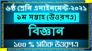 Class 6 Assignment 2021 9th week  science biggan Answer Solution [upl. by Wiburg]