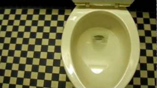 125 Handicapped Stall in Church Restroom Eljer Ultra Toilet IL [upl. by Andri]