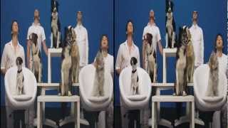 OK Go  White Knuckles  Official 3D Video [upl. by Taryne508]