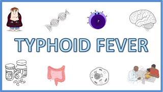 Typhoid Fever  Causes Pathogenesis Signs and Symptoms Diagnosis Treatment and Prevention [upl. by Gnilrits]