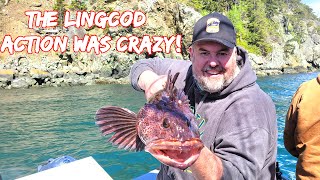 Lingcod Fishing Puget Sound Washington  San Juan Islands Opening Day 2024 [upl. by Aohsoj]