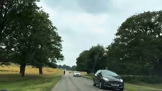 Drive through Richmond Park London richmond park london drive [upl. by Einahets204]