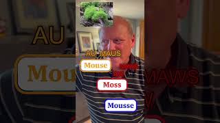 Mouse Vs Moss Vs Mousse [upl. by Salena462]