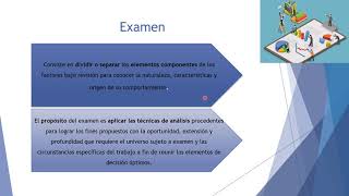 Metodología de la Auditoría Administrativa [upl. by Reh]