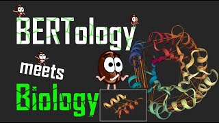 BERTology meets Biology  Solving biological problems with Transformers [upl. by Stephine638]