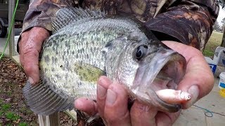 Crappie Fishing With A Bobber and Live Minnows [upl. by Monty310]