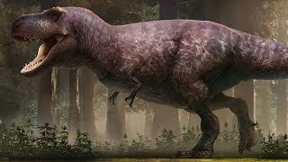 The Most Accurate T rex Ever Reconstructed [upl. by Mailliw]