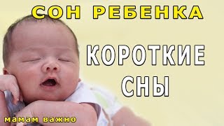 Почему ребенок спит 3040 минут или проблема коротких снов [upl. by Enerod684]