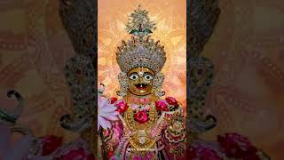 VADTAL DHAM STATUS 21 OF 200 shreeswaminarayan youtubeshort vadtal [upl. by Nylave97]