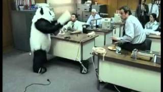 Panda Cheese Office [upl. by Olivero]