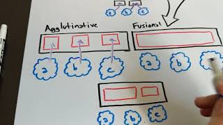 Isolating Synthetic Agglutinative and Fusional [upl. by Capwell]