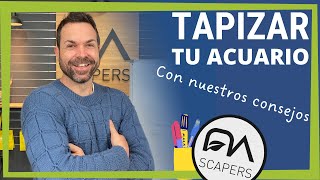 Cómo tapizar un acuario siguiendo nuestros consejos 🏅🔥 [upl. by Aid470]