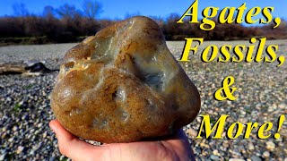 Agates Ammonites amp So Much More Fantastic Variety Rockhounding the Yellowstone River [upl. by Serg]