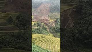 Landslide flood in village dumray travel flood landslidevillage shorts dumray [upl. by Aerdnak]