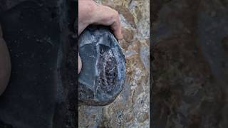 Quality fossils at Saltwick Bay whitby  large hildoceras ammonite fossilhunting [upl. by Ynelram263]