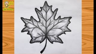 How to Draw a Leaf  Realistic Leaf Drawing  MAPLE Leaf Drawing  By AjisArtistry [upl. by Tenom808]