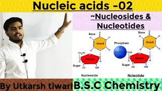 Nucleosides amp Nucleotide  Nucleic acid  Dinucleotide  Polynucleotide  BSC Chemistry [upl. by Halueb787]