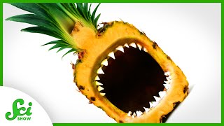 How Do Pineapples Eat Us Back [upl. by Gasparo]