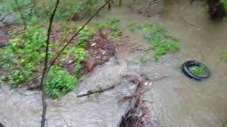 Vestavia Hills Drainage Set Up in a Thunderstorm [upl. by Onitnas]