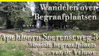 Apeldoorn Soerenseweg 3 de mooiste van de Veluwe [upl. by Keller]