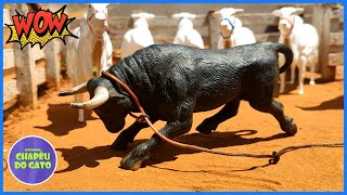 Fazenda de Brinquedo Touro Bravo no Curral [upl. by Rockie]