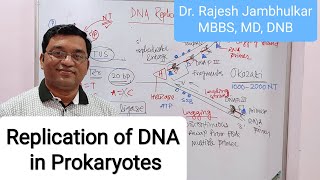 1 Replication of DNA in Prokaryotes New [upl. by Eahsat]