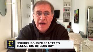 Nouriel Roubini has a Total Meltdown over Bitcoin February 10 2021 [upl. by Teak542]